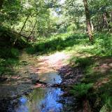 1807G 007 An der Emsquelle